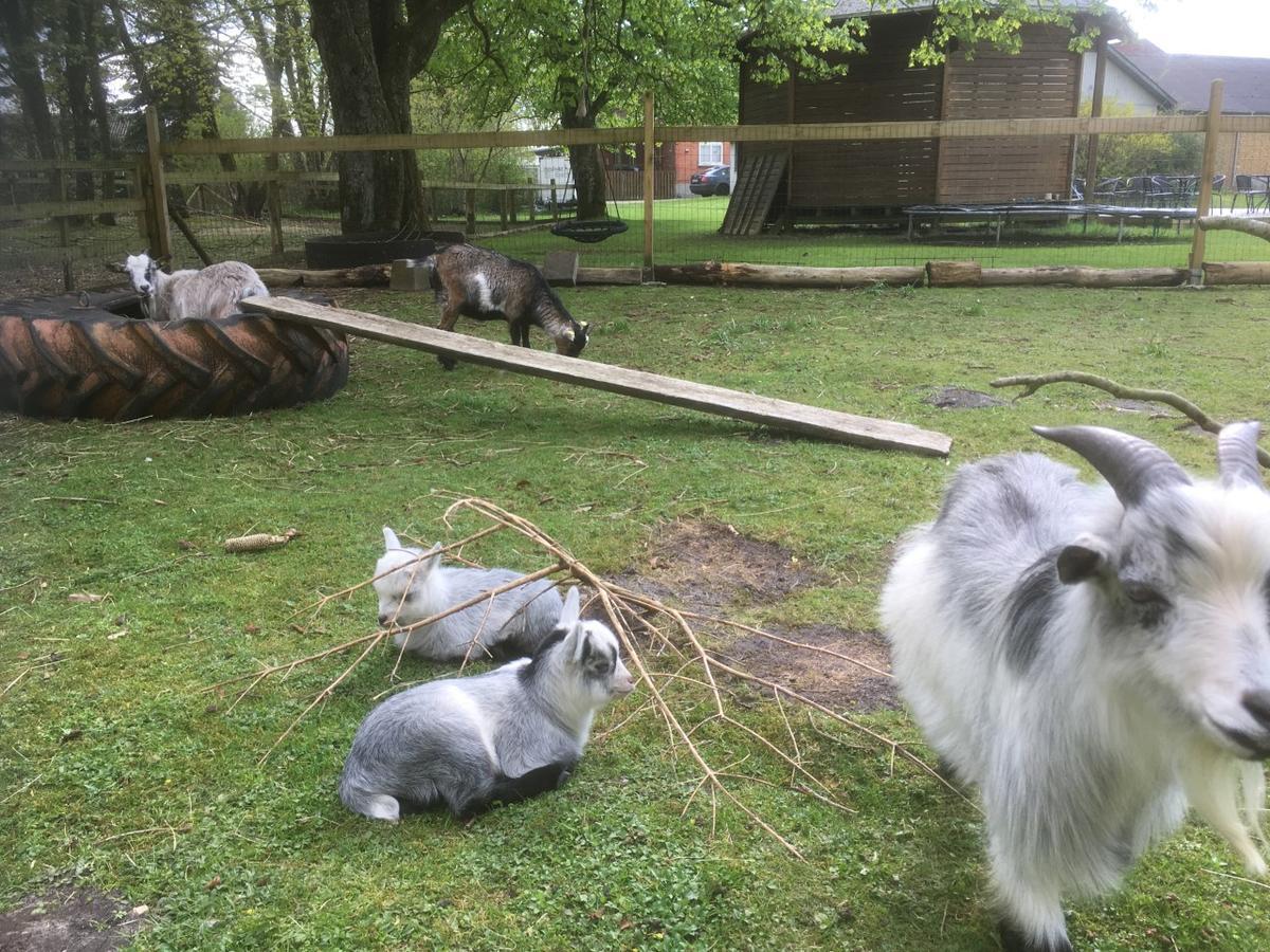 Hestkaer Family Rooms Summer Camp Krogager Exterior foto