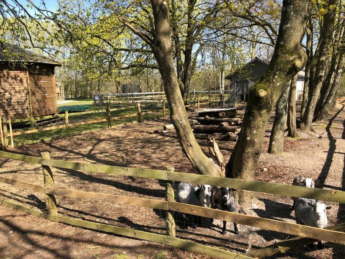 Hestkaer Family Rooms Summer Camp Krogager Exterior foto